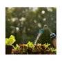 GARDENA Softsprüher 0.45 L