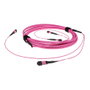 ACT DC5216 Cable trunk de fibra óptica multimodo OM4 de 100 m con conectores MPO