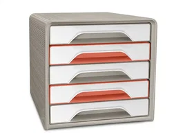 Cep Fichero Cajones Sobremesa Terra Nova 5 Cajones Colores Surtidos 360x288x271 mm