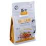 Brit Care Grain Free Haircare Gato Adulto 400g