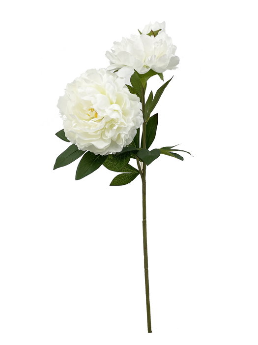 Oplante Vara de Peonia Artificial Blanco Tela 76 cm Alto 25 cm Ancho 96 g Peso Decoración Hogar Oplante Vara de Peonia Artificial Blanco Tela 76 cm Alto 25 cm Ancho 96 g Peso Decoración Hogar