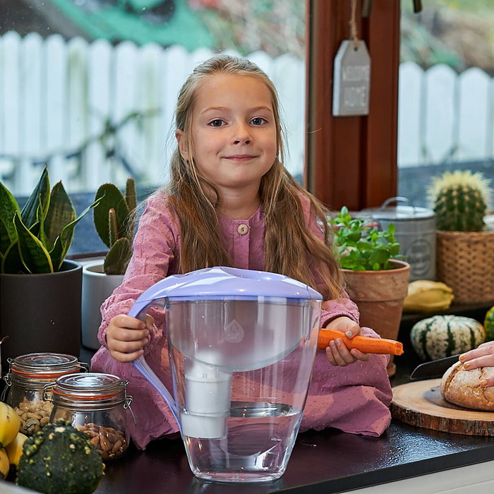 Cartucho filtrante dafi classic 2+1 caja