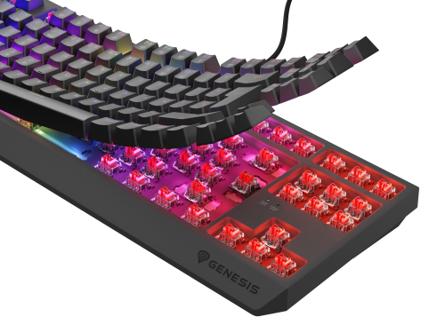 GENESIS Thor 230 TKL Teclado Mecánico Gaming RGB Español Negro GENESIS Thor 230 TKL Teclado Mecánico Gaming RGB Español Negro