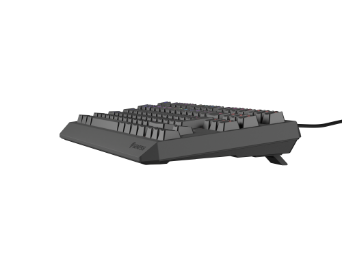 GENESIS Thor 230 TKL Teclado Mecánico Gaming RGB Español Negro GENESIS Thor 230 TKL Teclado Mecánico Gaming RGB Español Negro