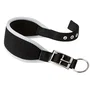 Ferplast Collar ErgoComfort CW25 46 Gris