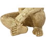 DKD Home Decor Figura de Gorila Dorado en Resina