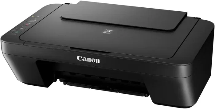 Canon PIXMA MG2556S Gris