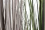 DKD Home Decor Planta Marron Claro Lila Multicolor 45 x 45 x 150 cm (2 Unidades)