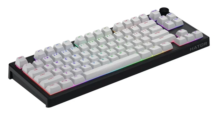 Hator Skyfall 80 MAG ULTRA 8K Teclado Gaming Negro Layout Polaco USB
