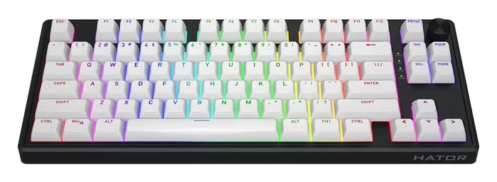 Hator Skyfall 80 MAG ULTRA 8K Teclado Gaming Negro Layout Polaco USB