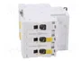 SCHNEIDER ELECTRIC iC60N Interruptor magnetotérmico 32A 3 Polos Curva B