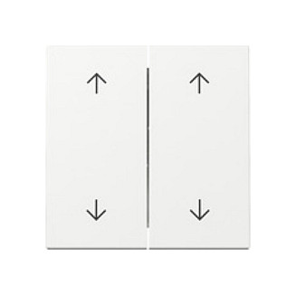 GIRA 329703 Wippe 2f Pfeile System 55 Blanco GIRA 329703 Wippe 2f Pfeile System 55 Blanco