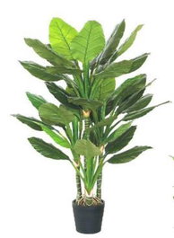 DKD Home Decor Planta Spathe Verde 80x80x180 cm