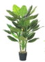 DKD Home Decor Planta Spathe Verde 80x80x180 cm