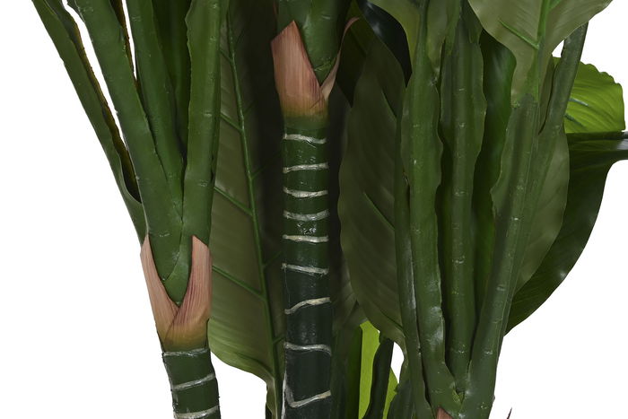 DKD Home Decor Planta Tropical Verde 180 x 80 x 80 cm (2 Unidades)