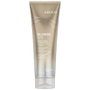 Joico Blonde Life Brightening Conditioner 250 ml