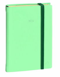 Agenda Anual (2026) Quo Vadis Daily 21 Prestigio Ml Silk Cosida Tapa Dura Con Goma 210X130 D/P Verde Mar