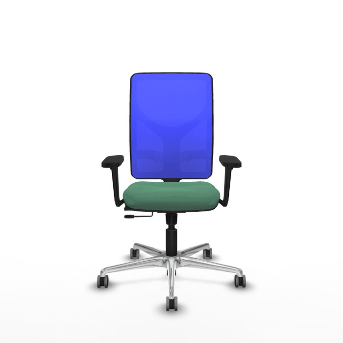 PIQUERAS Y CRESPO Silla de oficina Motilla con mecanismo Sincro/Traslack, Verde esmeralda y Azul PIQUERAS Y CRESPO Silla de oficina Motilla con mecanismo Sincro/Traslack, Verde esmeralda y Azul