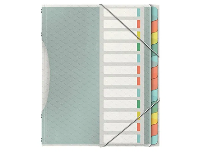 Esselte Carpeta Clasificadora Fuelle Polipropileno Transparente 12 Separadores Colores Cierre Gomas Elásticas DIN A4 325x265x45 mm