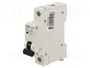 Promfactor Baltic Interruptor magnetotérmico ECO 25A 1 Polo Característica C