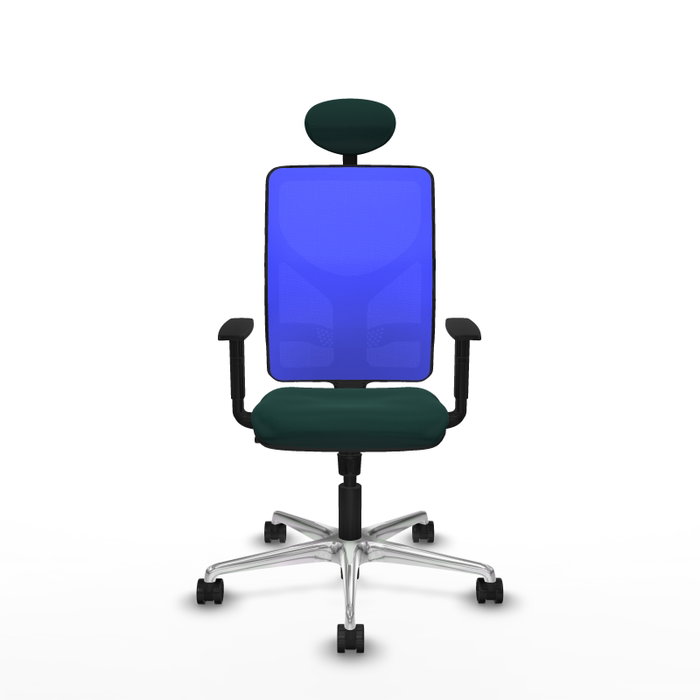 PIQUERAS Y CRESPO Silla de oficina Motilla con mecanismo Sincro, Verde botella y Azul PIQUERAS Y CRESPO Silla de oficina Motilla con mecanismo Sincro, Verde botella y Azul