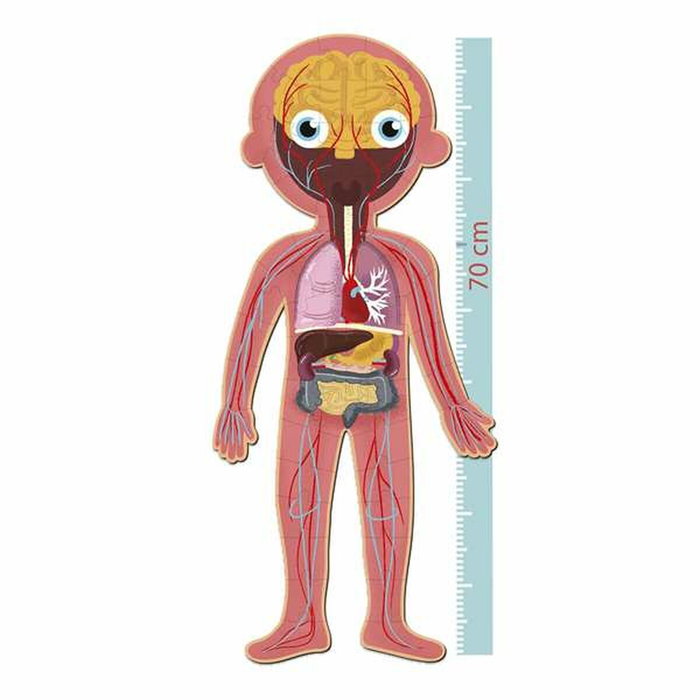 Apli Puzle Educativo Cuerpo Humano 240 Piezas