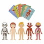 Apli Puzle Educativo Cuerpo Humano 240 Piezas