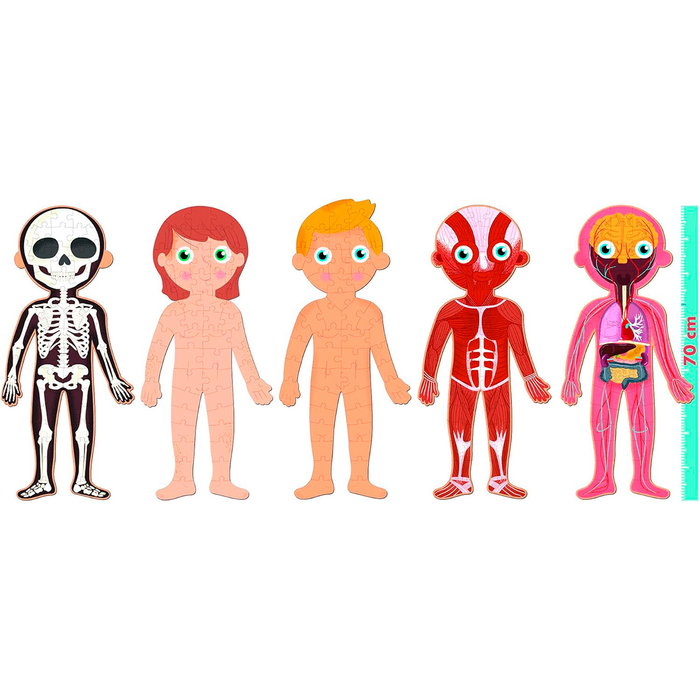 Apli Kids R.19438 Puzle Cuerpo Humano 240 Piezas