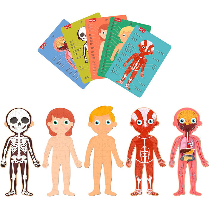 Apli Kids R.19438 Puzle Cuerpo Humano 240 Piezas