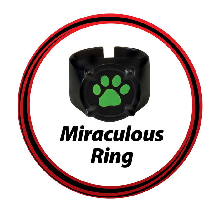 Bandai Conjunto de transformación milagrosa - Gato negro