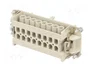 LAPP EPIC H-BE Plantilla de contacto Hembra HDC 16 Pines