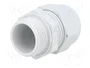 OBO Bettermann Prensaestopas M20 PA LGR RAL7035 2022866 Gris claro