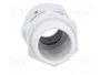 OBO Bettermann Prensaestopas M20 PA LGR RAL7035 2022866 Gris claro