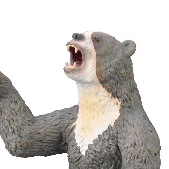 Collecta Oso de Cara Corta (Arctodus) Deluxe Réplica Pintada a Mano Figura Escala 1:20 o similar - 80026 Collecta Oso de Cara Corta (Arctodus) Deluxe Réplica Pintada a Mano Figura Escala 1:20 o similar - 80026