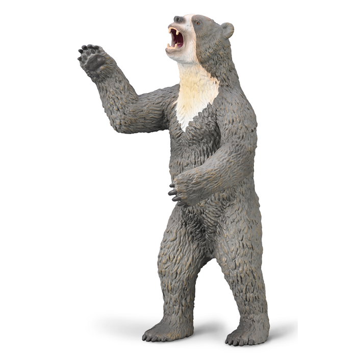 Collecta Oso de Cara Corta (Arctodus) Deluxe Réplica Pintada a Mano Figura Escala 1:20 o similar - 80026 Collecta Oso de Cara Corta (Arctodus) Deluxe Réplica Pintada a Mano Figura Escala 1:20 o similar - 80026