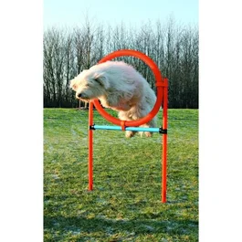 Trixie TRI4011905032085 Aro Agility para perros 115 x 3cm Plástico