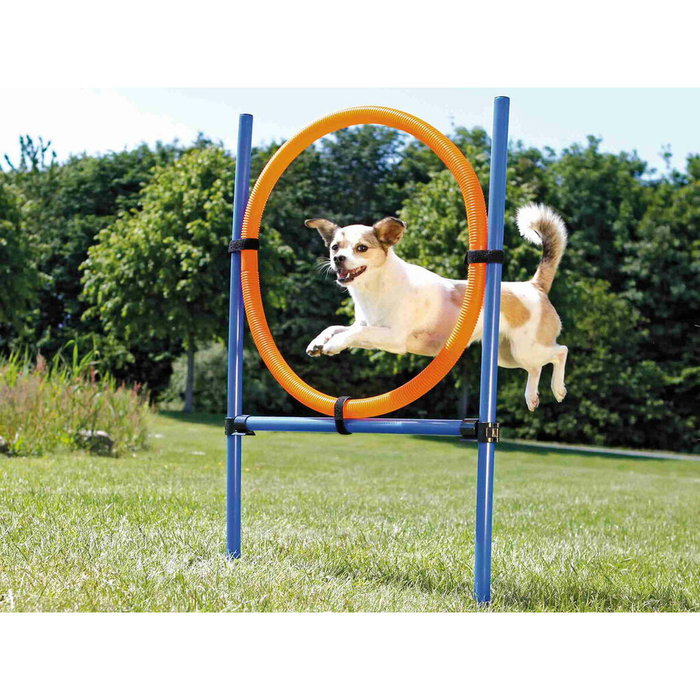 Trixie TRI4011905032085 Aro Agility para perros 115 x 3cm Plástico