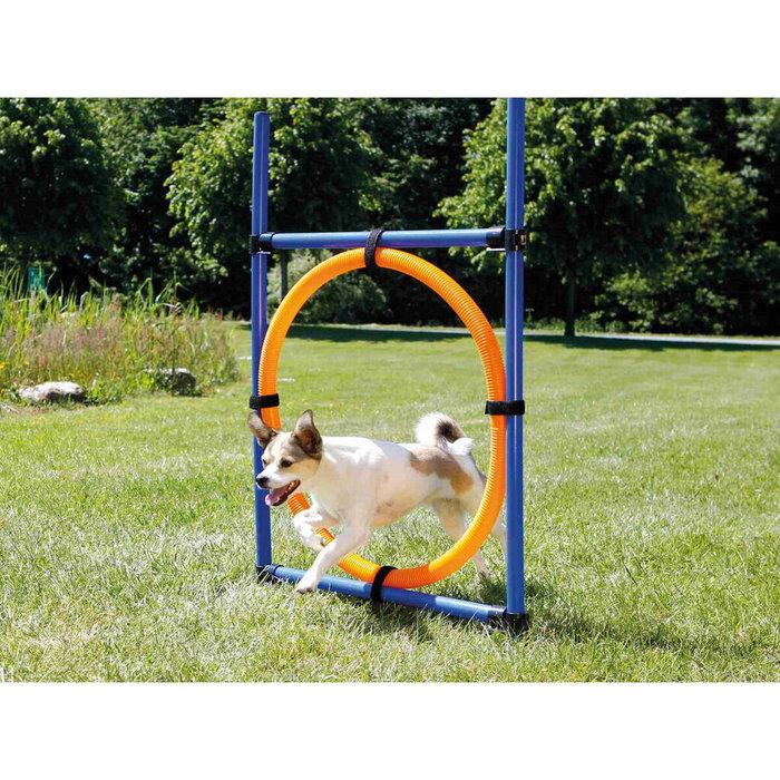 Trixie TRI4011905032085 Aro Agility para perros 115 x 3cm Plástico