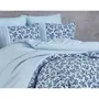Juego de Cama 220x240 cm + 2 Fundas de Almohada 60x60 cm, 100% Algodón Reforzado, Azul ASI8683342463379