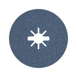 Bosch PRO R574 Schruppscheibe