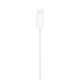 Apple Cable de Carga Magnética Trenzado USB-C de 1 m MT0H3TY/A Blanco