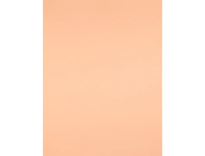 Liderpapel Cartulina Sepia 50x65 cm 240g/m2 para Dibujo y Manualidades