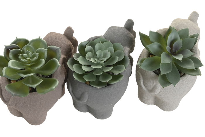 DKD Home Decor Figura Elefante Cactus Surtida