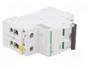 SCHNEIDER ELECTRIC iC60N Interruptor magnetotérmico 4A 2 polos Caract D