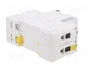 SCHNEIDER ELECTRIC iC60N Interruptor magnetotérmico 4A 2 polos Caract D