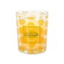 Home Deco Factory Vela Citronela Antimoustique altura 6,5 cm