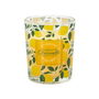 Home Deco Factory Vela Citronela Antimoustique altura 6,5 cm