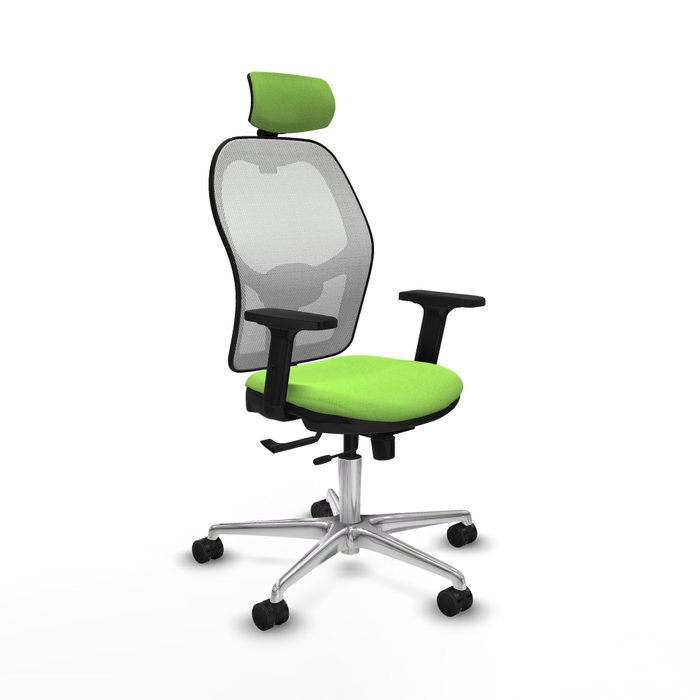 PIQUERAS Y CRESPO Silla de oficina Jorquera con mecanismo Sincro/Traslack, Pistacho y Blanco PIQUERAS Y CRESPO Silla de oficina Jorquera con mecanismo Sincro/Traslack, Pistacho y Blanco
