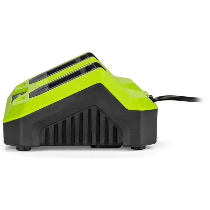 Fieldmann Cargador Doble FIE8590669303960 para Baterías de 20V, Carga Rápida 2Ah en 60 Minutos, Compatible con Baterías de 2Ah y 4Ah