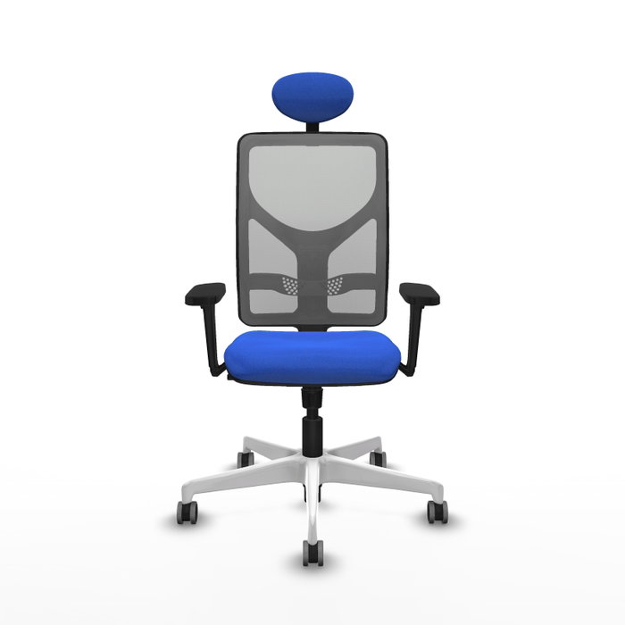 PIQUERAS Y CRESPO Silla de oficina Motilla con mecanismo Sincro, Azul y Gris PIQUERAS Y CRESPO Silla de oficina Motilla con mecanismo Sincro, Azul y Gris